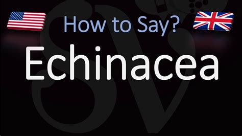 How To Pronounce Echinacea New Update
