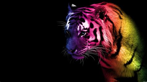 Purple Fantasy Tiger Animals Color Tiger Wallpaper Full Hd Best