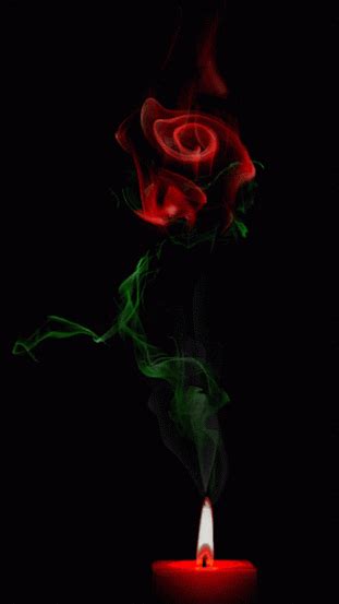 22 Amazing Roses Animated S At Best Animations