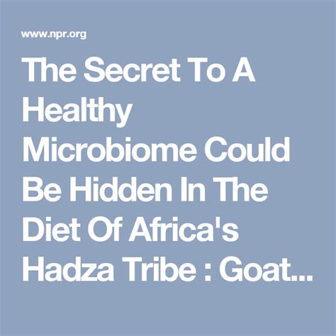 Is The Secret To A Healthier Microbiome Hidden In The Hadza Diet