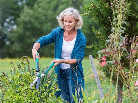 Gardening And Health The Mental Benefits
