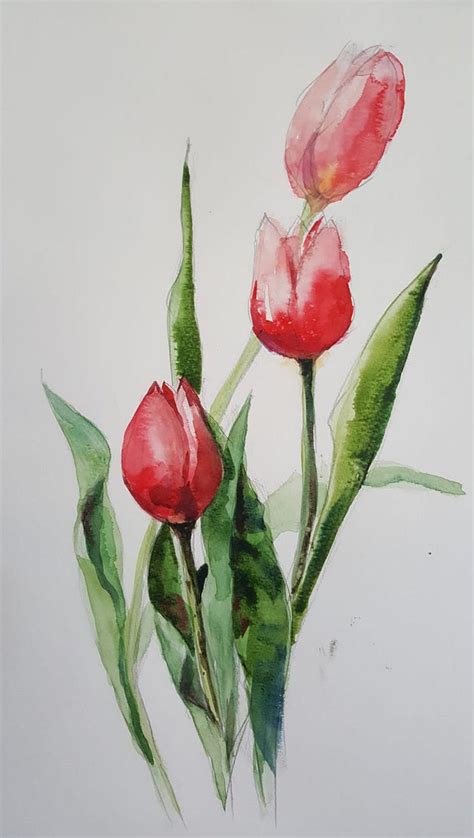 Two Red Flowers With Green Leaves On A White Background Painted In