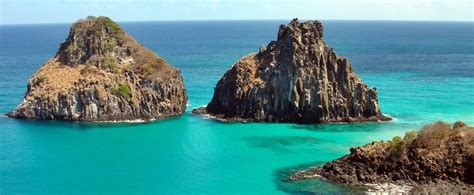 Ficou curioso e quer saber mais sobre as tartarugas marinhas? Onde fica e como chegar a Fernando de Noronha - Dicas ...