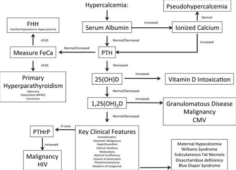 Diagnostic And Treatment Algorithm For Hypercalcaemia In Neonates And