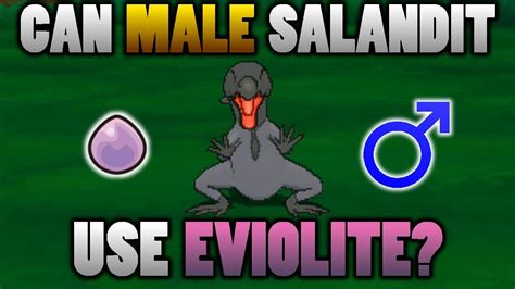 Can A Male Salandit Use Eviolite In Pokemon Ultra Sun And Moon Youtube