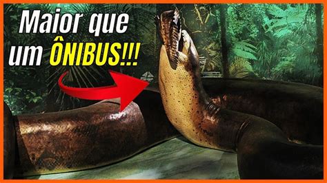 Titanoboa Gigantophis Anaconda E Píton As Maiores Cobras Do Mundo