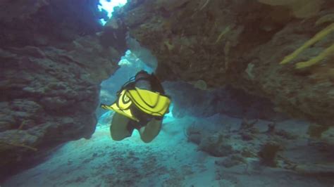Cozumel 2017 Scuba Diving Palancar Caves 1 Of 4 Youtube