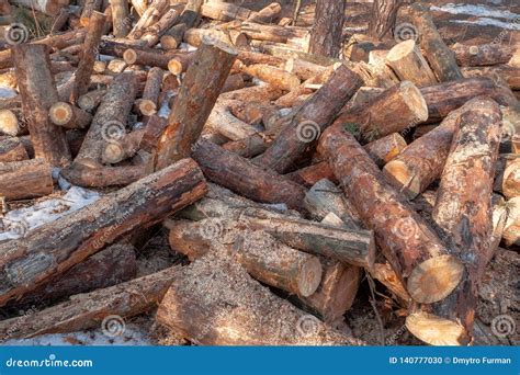 Stacked Firewood In A Pile Outdoors Close Up A Pile Of Chopped