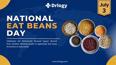 National Eat Beans Day July 3 Activities And Amazing Facts Drlogy