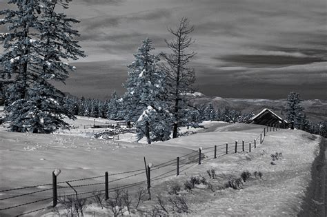 Infrared Photography On A Winter Day Enmanscameras Blog