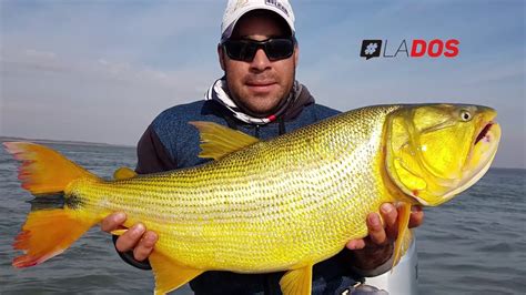 Pesca De Dorados En Paso De La Patria Youtube