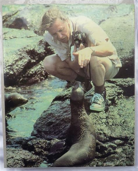 David Attenborough Master Natural Historian Of Life On Earth