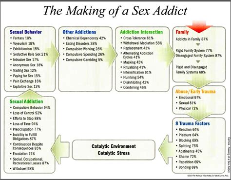 type 7 the sex addict affair infidelity recovery institute