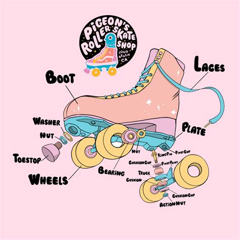 40 Roller Skate Parts Diagram Wiring Diagram Info