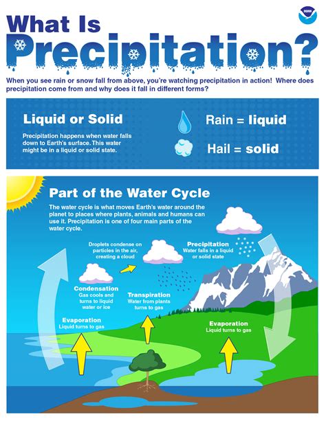 Types Of Precipitation Classroom Posters Types Of Pre