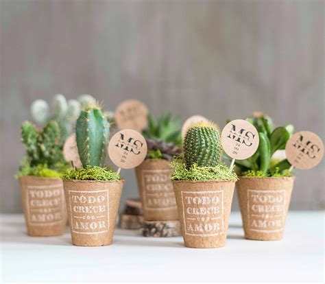 Mini Cactus Y Crasas Recuerdos De Boda Suculentos Mini Cactus Regalar Plantas