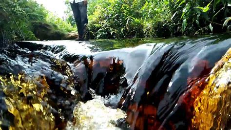 Mesin Ro Yang Cocok Untuk Kawasan Kalimantan Perusahaan Water Treatment