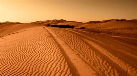 Descubre Por Qué En El Desierto Hay Arena Al Igual Que En Las Playas