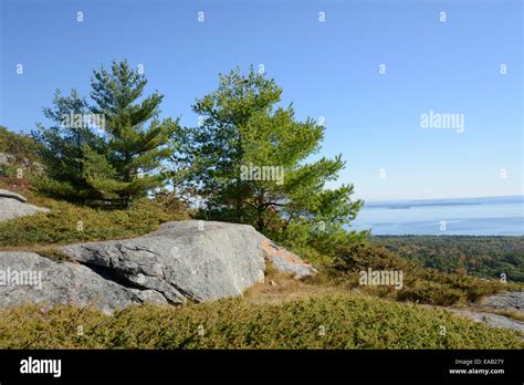 View From Mount Battie In Camden Maine There Are Evergreen Trees And