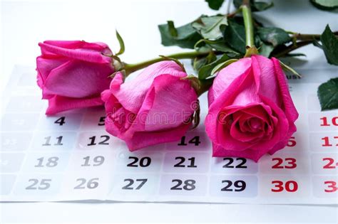 Roses And Calendar Stock Photo Image Of Greeting Cube 112485048