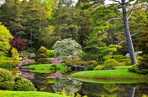 Wander Through The Magical Otherworldly Asticou Azalea Garden In Maine