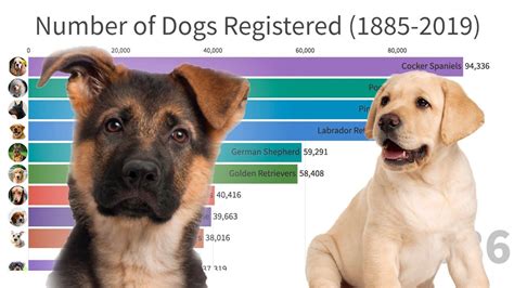 Most Popular Dogs In The World 1885 2019 Popular Dog Most Popular
