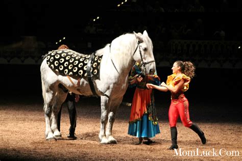 These are phrases you use when parting from others at night. Arabian Nights Dinner Show Orlando