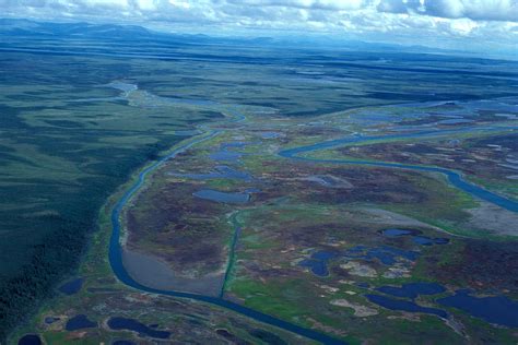 Free Picture River Delta Swamp Aerial Perspective