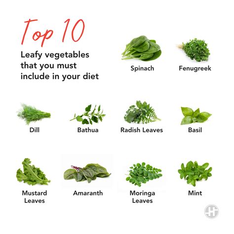 Top 10 Leafy Vegetables Leafy Vegetables Ways To Eat Healthy Green