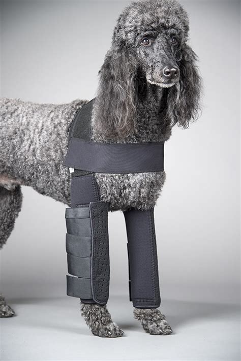 Full Length Dog Hygroma Support Protection And Padding For Dog Elbow Joints