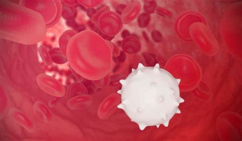 علاج نقص كريات الدم البيضاء بالخلايا الجذعية العلاج بالخلايا الجذعية