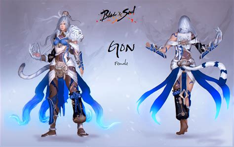 Blade And Soul Costume Design Gon Female By Arist0te On Deviantart