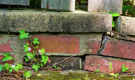 Ivy And Bricks Photograph By Kenneth Sponsler Fine Art America