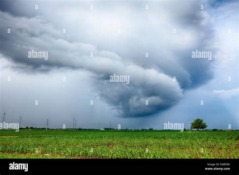 Spinning Storm Cloud Over Corn Field Stock Photo Alamy