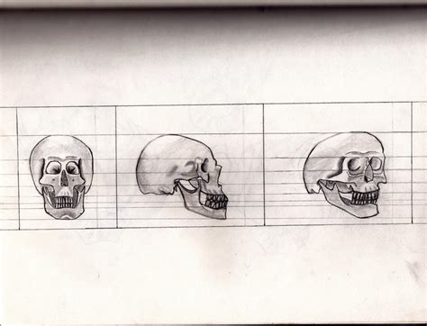 Human Skull Perspective Sketch By Lonenekox On Deviantart