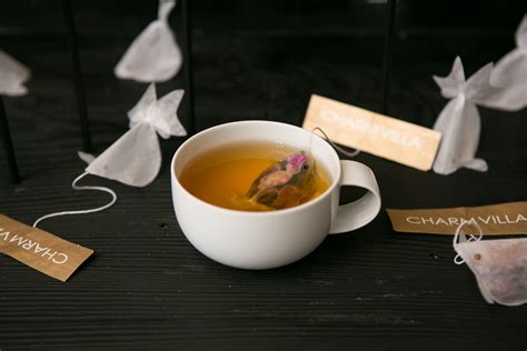 beautiful  creative goldfish tea bag favbulous