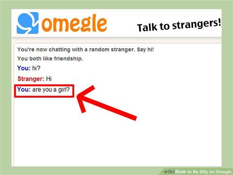 How To Be Silly On Omegle 9 Steps With Pictures Wikihow