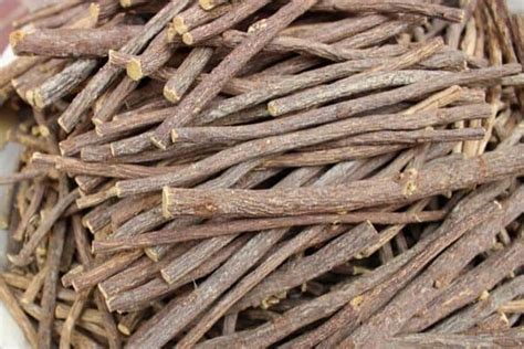 How To Harvest And Dry Licorice Roots Urban Garden Gal