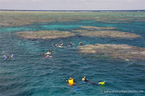 Cairns Snorkelling On The Great Barrier Reef Lakwatsera De Primera