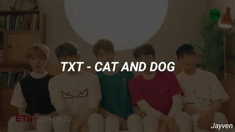 Txt Cat And Dog Lyrics Youtube