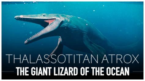 This Giant Prehistoric Sea Lizard Dominated The Oceans Dinosaur