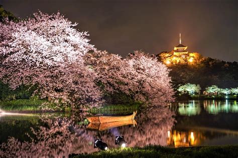 Best Places To See Cherry Blossoms In Yokohama Japan Web Magazine