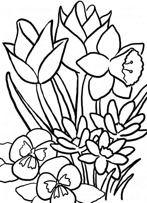 La foto del mazzo di fiori che trovate sul nostro sito si riferisce sempre ad una composizione base. Disegni Di Prati Fioriti Da Colorare