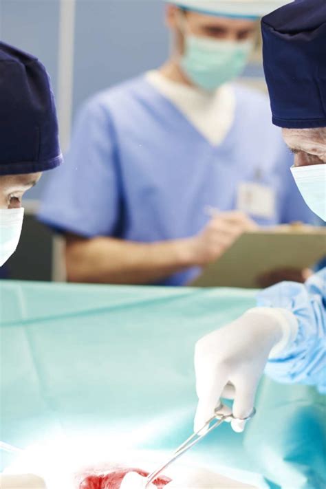 Everything You Need To Know About Organ Transplants