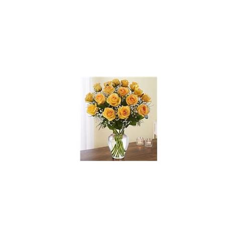 Rose Elegance Premium Long Stem 18 Yellow Roses Mobile Al