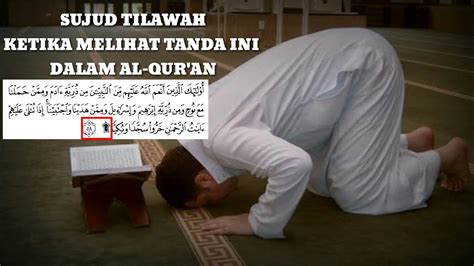 Panduan Ibadah Sujud Tilawah Saat Membaca Al Quran Ada Tanda Sajdah