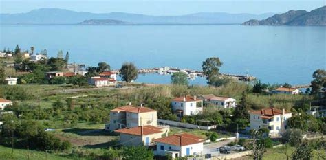 Ένας 58χρονος δικηγόρος, από την αθήνα, εντοπίστηκε θανάσιμα τραυματισμένος στην μονοκατοικία όπου διέμενε στην περιοχή της τροιζηνίας. ΤΡΟΙΖΗΝΙΑ - ΜΕΘΑΝΑ