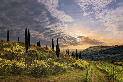 Tuscany Wine And Cheese Experience Transfer From Rome To Florence