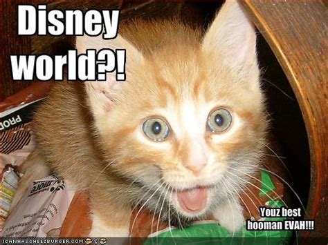 Wayfaring Mouse The World Of Disney For The Young At