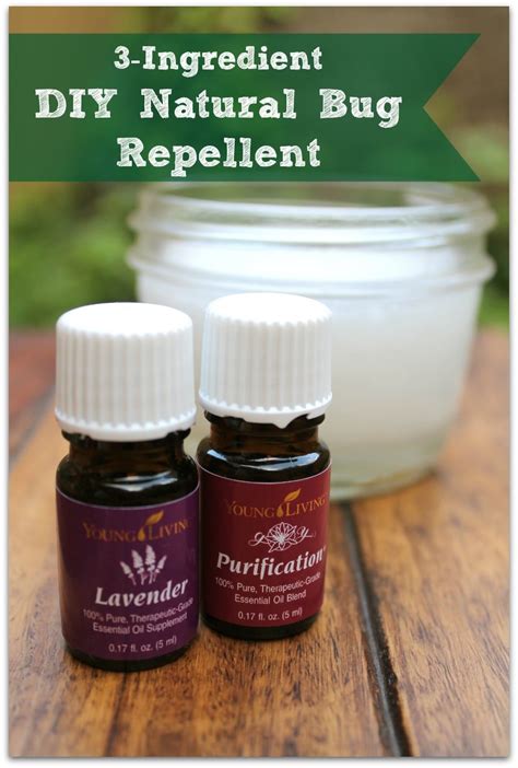 Since essential oils contain active plant substances in a highly concentrated form, there are a number of things to further variations of the diy insect spray against mosquitoes and ticks. Page Not Found - Healy Eats Real